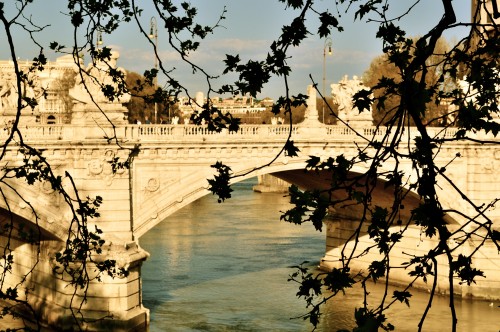 DILIT IH Roma