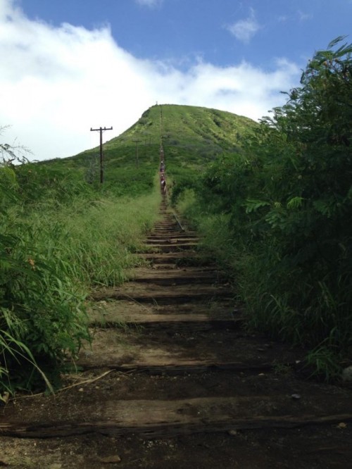 Hawaii Palms English School
