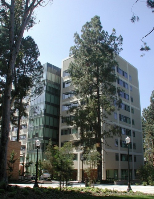 Tamwood Los Angeles Camp
