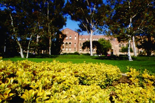 Tamwood Los Angeles Camp